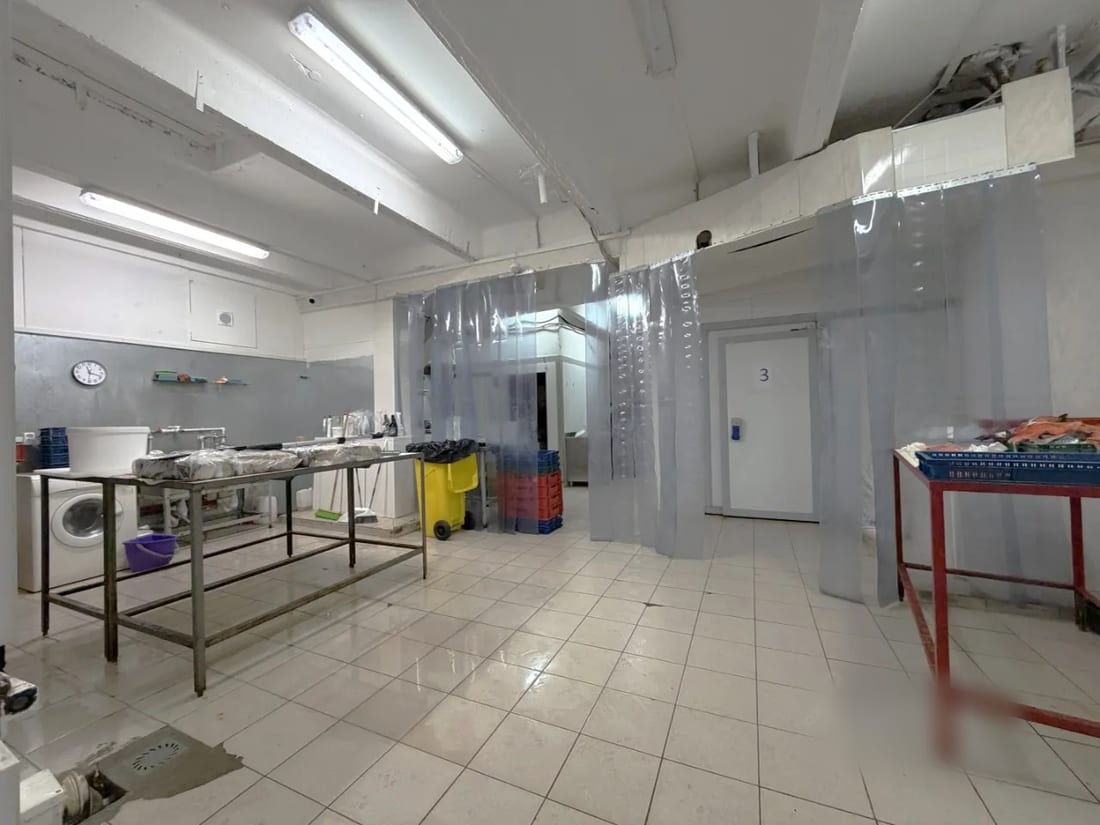Сдается помещение свободного назначения, 135 м² — фото 1