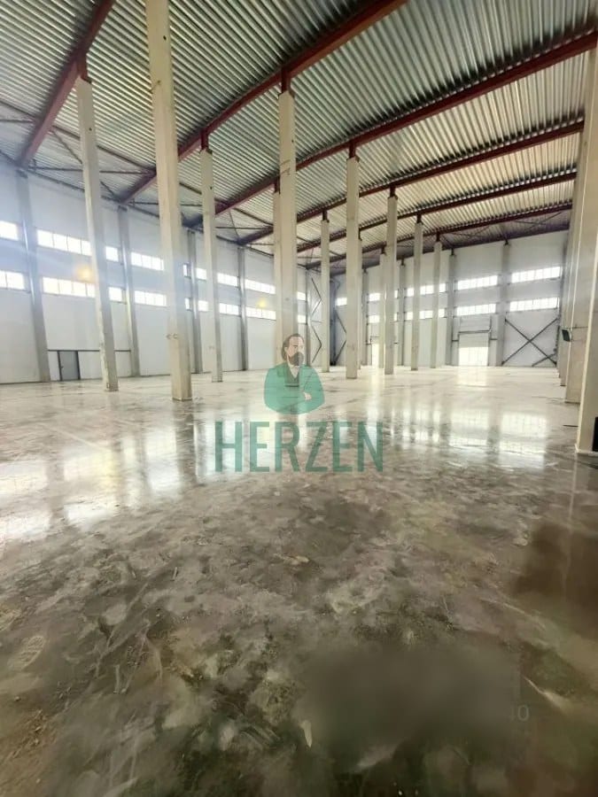Сдается помещение свободного назначения, 1 250 м² — фото 1