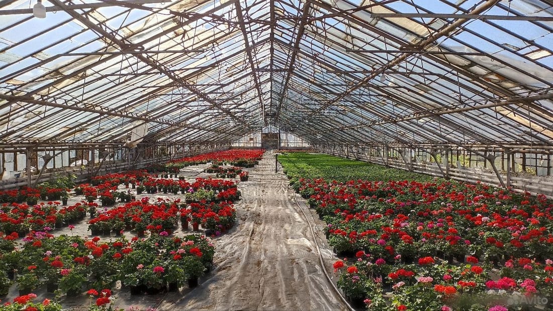 Производство, 12000 м² — фото 1