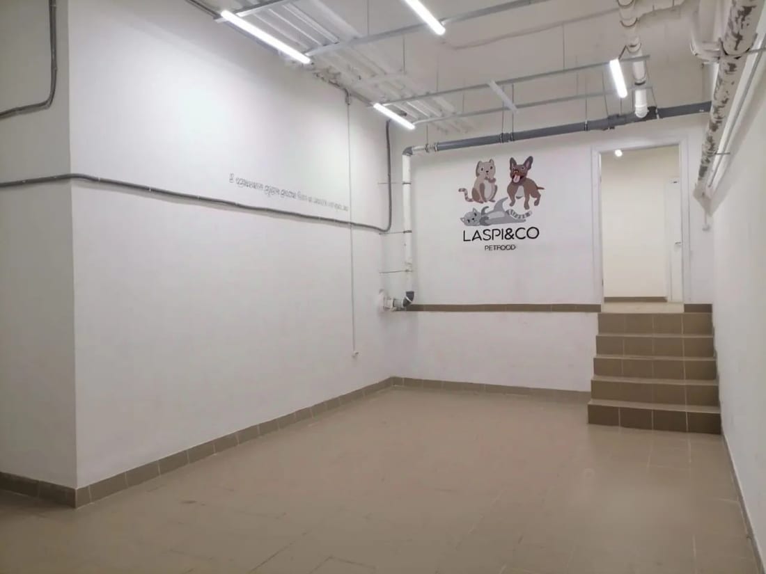Сдается помещение свободного назначения, 116 м² — фото 1