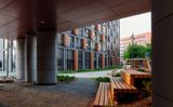 Champine — фото 8