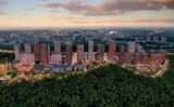 Каштановая роща — фото 3