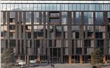 LOFTEC — фото 3