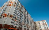 Зеленые аллеи — фото 5
