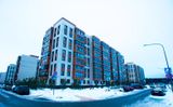 Пироговская ривьера. Мытищи — фото 1