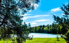 Коттеджный поселок Green River
