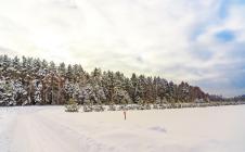 Коттеджный поселок Shelkovo Village
