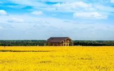 Коттеджный поселок Shelkovo Forest