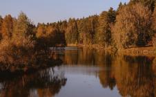 Коттеджный поселок Shelkovo Park