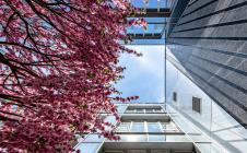 Turandot Residences