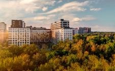 Level Лесной