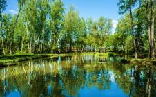 Коттеджный поселок River Wood