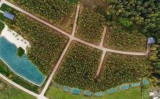 Коттеджный поселок Green Forest Premium