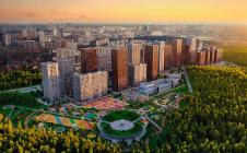 Каштановая роща